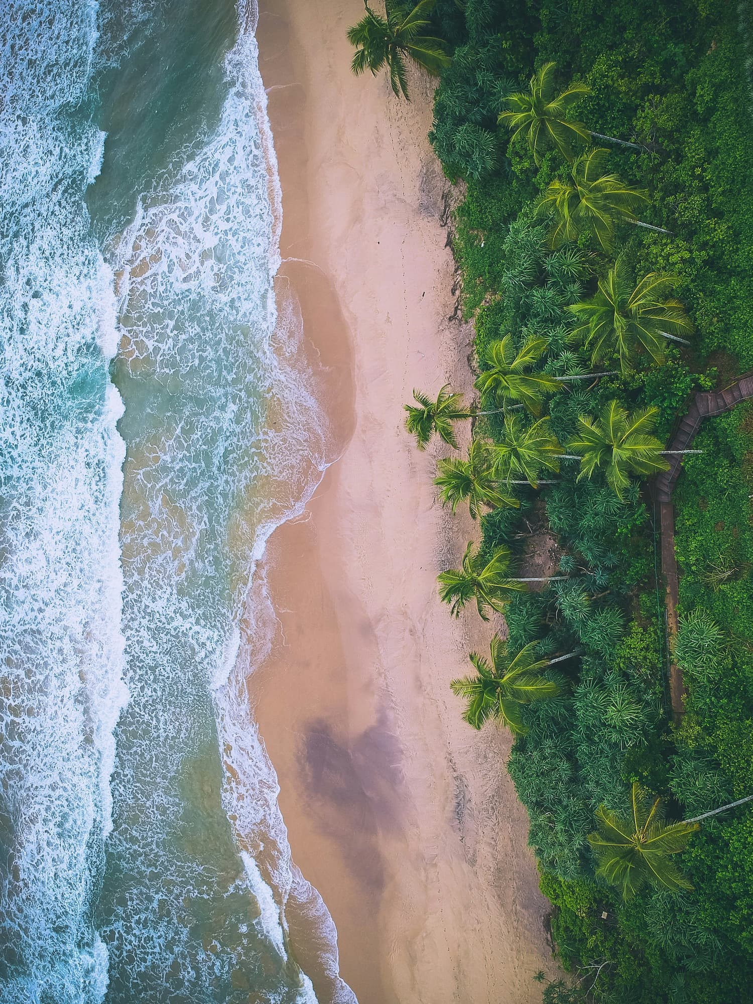 Beach Escapes